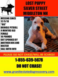 We have the best pitbull puppies for sale and we have made sure that sure that all our puppies get the prober diet and health care they need until they meet their new families. New Brindle Pitbull Memes Doglover Memes Brindle Memes Get Him Memes