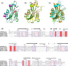 We did not find results for: Plos One Metal Ion Coordination In The E Coli Nudix Hydrolase Dihydroneopterin Triphosphate Pyrophosphatase New Clues Into Catalytic Mechanism
