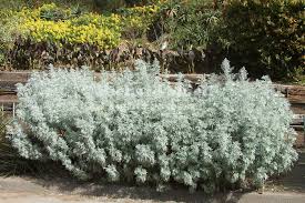 Blog Knibb Design Curb Appeal Landscape Garden Landscaping Landscape