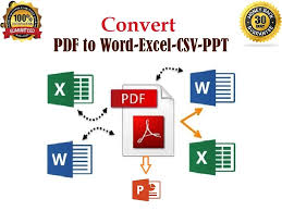 You Will Get Convert Pdf To Word Document Or Pdf To Excel Document Upwork In 2021 Book Editing Infographic Design Resume Words