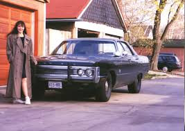 Image result for Chestnut 1973 Fury