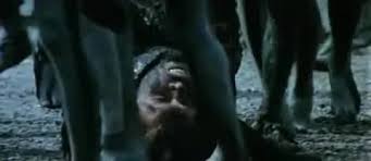 Three members of a prehistoric tribe that cant start its own fire are sent in search of a new source when their continuously burning pilot fire is extinguished. Quest For Fire 1981 Imdb