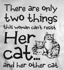 Ashleyhastingsauthor Posted To Instagram And Her Third Cat Cause Crazy Cat Lady Catsofinstagram Cats Catstagram Ca Cat Quotes Cat Lady Crazy Cat Lady