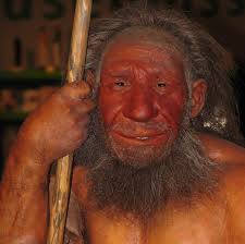 Redheads have less hair on their heads. Neanderthals Didn T Give Us Red Hair But They Certainly Changed The Way We Sleep