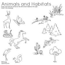 7 Awesome Animal Habitat Worksheets For 2nd Grade Animal Habitats Worksheets For Kids Animal Worksheets
