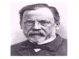 HISTORY OF 6th century BC. Jain (Greek) described microscopic creatures  living in the 70 BC Marcus Varro (Roman) described microbes.