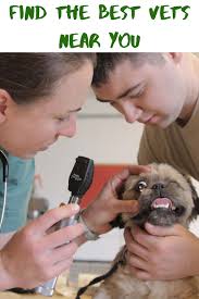 Find a pet insurance plan that works for you and your pet. Veterinarian Near Me Veterinarian Veterinary Pet Care