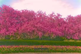 Maybe you would like to learn more about one of these? Ny Spring Explodes In The Conservatory Garden Conservatory Garden Gardens Of The World Famous Gardens