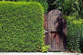 Cloture De Jardin Pas Cher Diy En Quelques Idees A Ne Pas Manquer Siepi Recinzioni Giardino Con Privacy