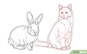 Check spelling or type a new query. 3 Ways To Draw Animals Wikihow