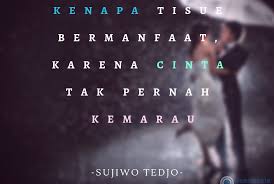 Gambar Kata2 Cinta Bijak 99 Kata Kata Cinta Romantis Paling Bermakna Lucu 1111 Kata Kata Bijak Singkat Mutiara Cinta Romanti Di 2020 Kata Kata Mutiara Romantis Bijak