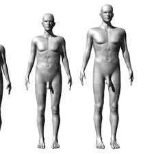 El pene “óptimo” mide más de 13 centímetros en relajación | TECNOLOGIA | EL  COMERCIO PERÚ