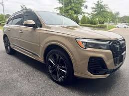 Image result for Vicuna Beige 2023 Q7