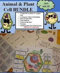 Animal Cells Plant Cells Powerpoint Presentation Bundle Animal Cell Animal Cell Parts Plant Cell