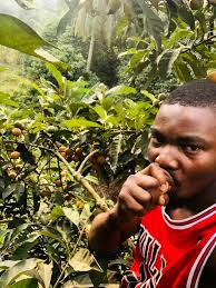 I enjoy my free time by posting here : )