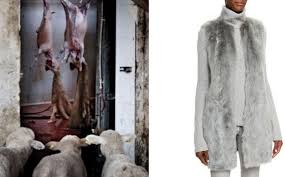 Maybe you would like to learn more about one of these? Last Chance For Animals Shura Hammond Lca Blog