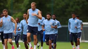 England have three lions on their shirt, we have 33 million says Ghana's Queiroz