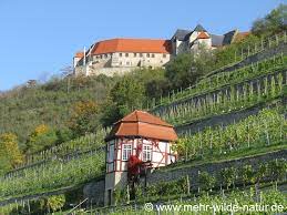 It is situated on the river unstrut , 9 km northwest of hanseatic naumburg , 63 km from leipzig and 231 km from berlin. Freyburg Unstrut Mein Lieblings Fur Die Seele Ausflugsziel Mehr Wilde Natur