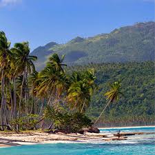 Houses in la altagracia / dominican for sale citymax ¡vende. Samana Playas De Postal Cocoteros Sabor Caribeno Y Ballenas Foto 1