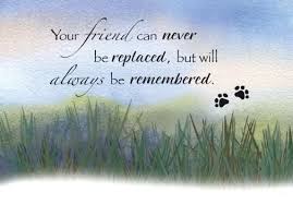 I hope these pet sympathy messages help you find the right words to express how deeply sorry you are for a loved one's loss. Pin By Stephanie Summers On Dogs Pet Sympathy Quotes Sympathy Quotes For Loss Sympathy Quotes