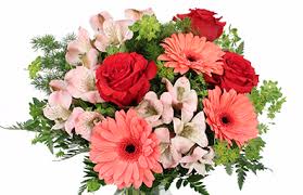 We did not find results for: Oak Cliff Dallas Tx Florists Provide Wedding Flowers Centerpieces And More At Wedding And Party Network