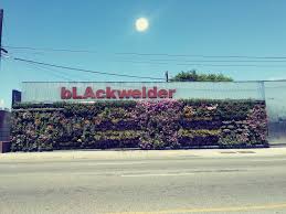 Trade professionals can select and purchase from daltile's product portfolio at this location. Blackwelder Coffee 5890 Blackwelder St Culver City Ca 90232 Usa