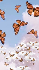 Orange aesthetic butterfly wings monarch freetoedit monarch. 120 Images About Butterfly On We Heart It See More About Butterfly Aesthetic And Wallpaper