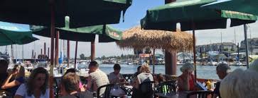 Ingredients for best fish taco sauce: The 15 Best Places For Fish Tacos In Portland