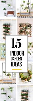 Foreign Exchange Markets And Exchange Rates Red Girl Blog Kleinen Raumgartnerei Wohnung Pflanzen Indoor Garten