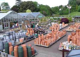 Browse our wide selection of beautiful accent trees, flowering shrubs, perennials & more. Garden Centre Wikipedia