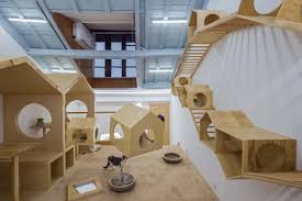 Gallery Of Cat Cafe Tryst Parallect Dedign 13 Cat Cafe Cafe Interior Design Cat Hotel