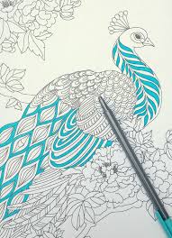 Capture the beauty and majesty of the peacock with this peacock coloring page. Step By Step Coloring Peacock Feathers The Coloring Book Club