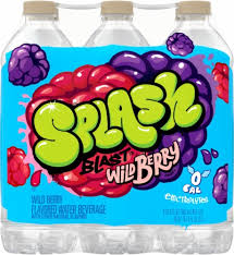 Splash Blast Wild Berry Flavored Water Beverage 6 Bottles 16 9 Fl Oz Food 4 Less