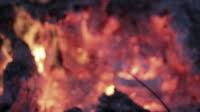 • free, free and free. Mp4 Video Fire Free Free Footage For Free Download About 4 Free Footage