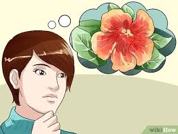 How long does it take for nasturtiums to sprout? How To Grow Nasturtiums 12 Steps With Pictures Wikihow