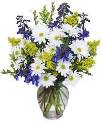 At ava's flowers, we can offer same day delivery on orders that come in before 2:00 p.m. Lazy Daisy Delphinium Just Because Flowers In Bloomington In Mary M S Walnut House Flowers And Gifts
