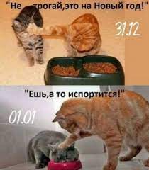 Смешные картинки про Новый год, ёлки и новогоднее настроение • Форум Москвы  - Mosfo.ru