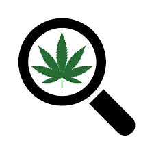 Check spelling or type a new query. Cannabis Free Royalty Free Stock Illustrations And Vectors Stocklib