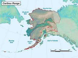 Whether they are the best or not depends on your preference for game and hunting style. Caribou Hunting Information Alaska Department Of Fish And Game
