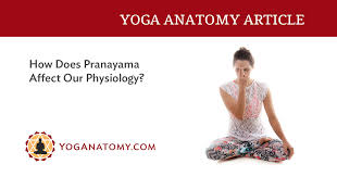 112 likes · 81 talking about this. How Does Pranayama Affect Our Physiology Yoganatomy