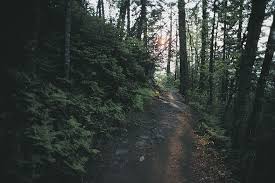 Find traveler reviews, candid photos, and prices for 57 camping in pocono mountains region, pennsylvania, united states. The Best Primitive Camping Trips In The Pennsylvania Mountains