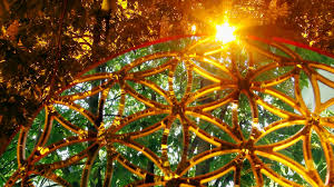 Blume Des Lebens Flower Of Life Badada Siegerblume Acryl Orange Transparent 02 A Badada Die Siegerblume Mit beweglichen hintergrundbildern gestalten sie pc oder smartphone nicht nur abwechslungsreicher sondern auch äußerst individuell. siegerblume acryl orange transparent