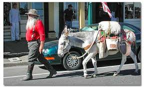 Conveniently located restaurants include red dog saloon, virginia city jerky company. Virginia City Nevada Desertusa