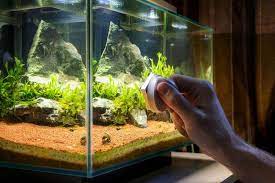 How To Properly Clean Your Aquarium Tips For Easy Tank Maintenance Aquarium Co Op