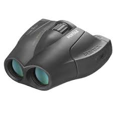 Pentax Sd Wp 8X42 Binoculars: Our Review | All About Birds All About Birds