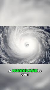 Hurricanes are the most powerful storms on Earth — but what’s really going  on inside them?, From the calm, cloudless eye to the violent eyewall,  MyRadar meteorologist @matthewcappucci breaks down the ...