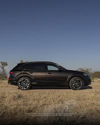 Image result for Tamarind Brown 2025 Q7