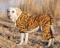 At petpress we love our pets of all shapes and sizes. The Top Dog Halloween Costumes Of 2020 Based On Google Searches People Com