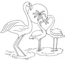 These downloads are for personal use only. Flamingo Coloring Pages Idea Whitesbelfast Com