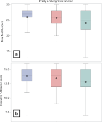 Cognitive Impairment In Candidates For Allogeneic Hematopoietic Stem Cell Transplantation Bone Marrow Transplantation